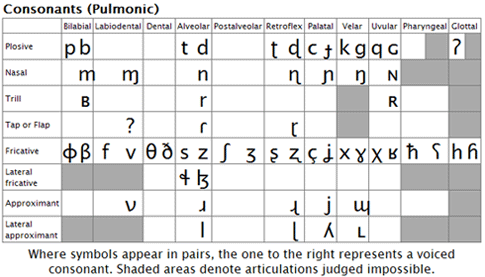 Consonants pulmonic